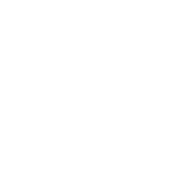 knob icon