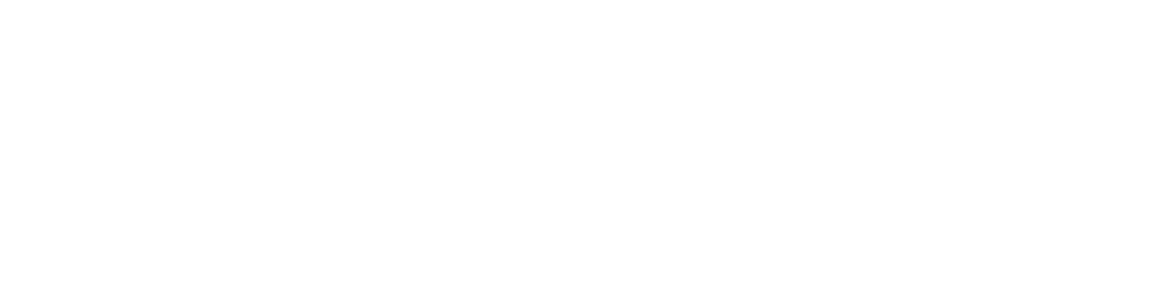nylon sky logo